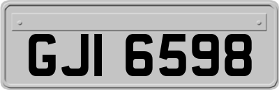 GJI6598