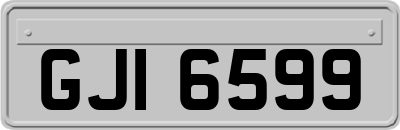 GJI6599