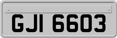 GJI6603