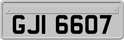 GJI6607