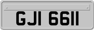 GJI6611