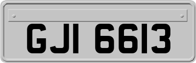 GJI6613