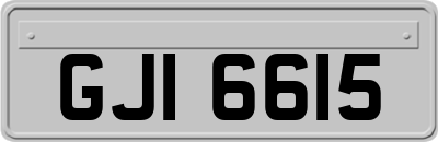 GJI6615