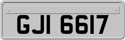 GJI6617