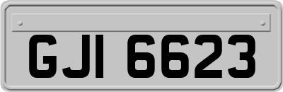 GJI6623