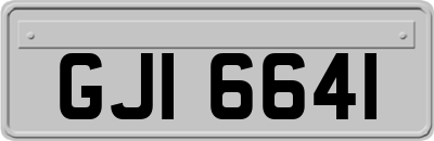 GJI6641