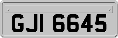 GJI6645