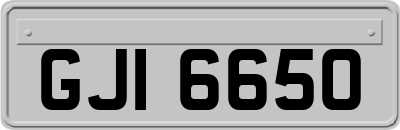 GJI6650