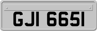 GJI6651