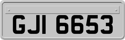 GJI6653