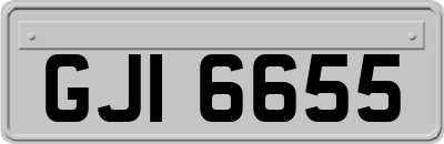 GJI6655