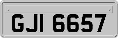 GJI6657