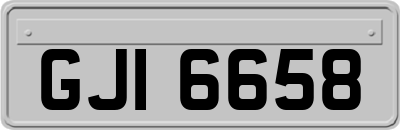 GJI6658