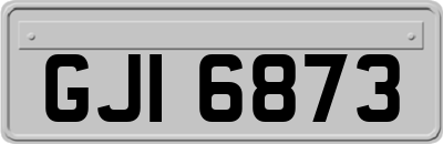 GJI6873
