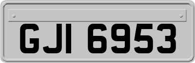 GJI6953