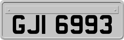 GJI6993