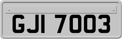 GJI7003