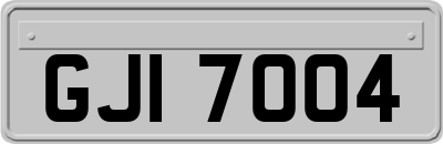 GJI7004