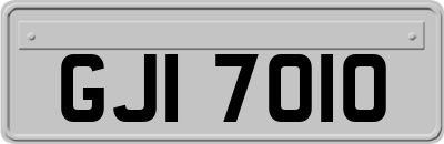 GJI7010