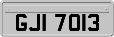 GJI7013