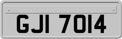 GJI7014