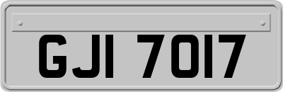 GJI7017