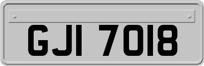 GJI7018
