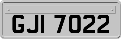 GJI7022