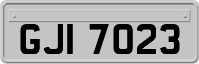 GJI7023