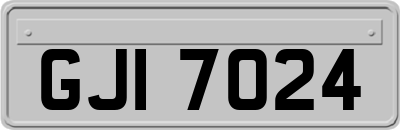 GJI7024