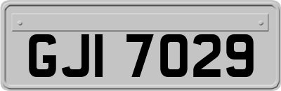 GJI7029