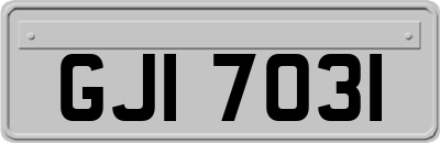GJI7031