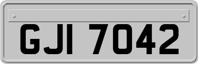 GJI7042
