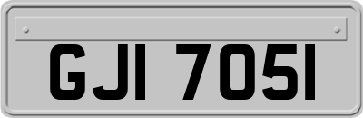 GJI7051