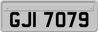 GJI7079
