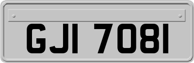 GJI7081