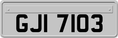 GJI7103