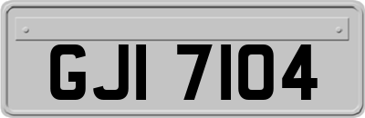 GJI7104