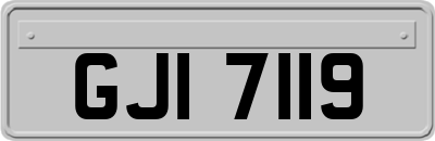 GJI7119