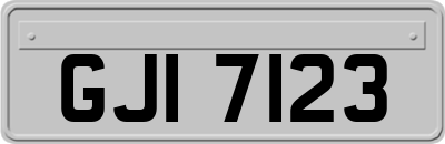 GJI7123
