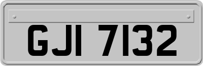 GJI7132
