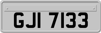 GJI7133
