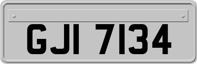 GJI7134
