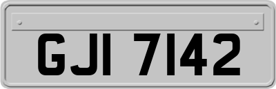 GJI7142
