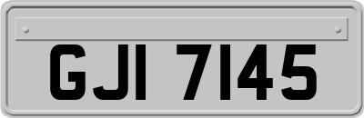 GJI7145