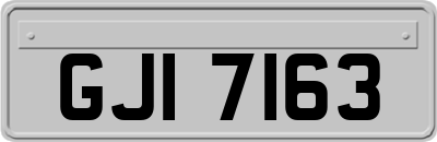 GJI7163