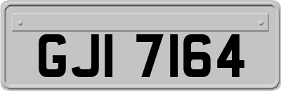 GJI7164