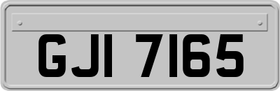 GJI7165