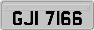 GJI7166