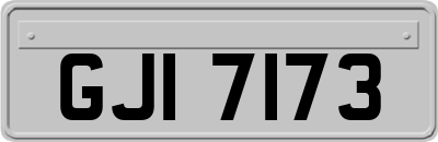 GJI7173